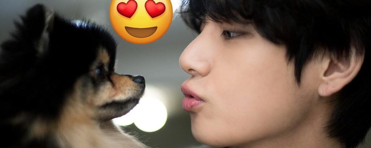 5 Times BTS Perfectly Performed The Same Poses With Their Pets