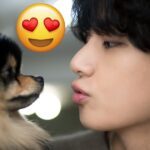 5 Times BTS Perfectly Performed The Same Poses With Their Pets