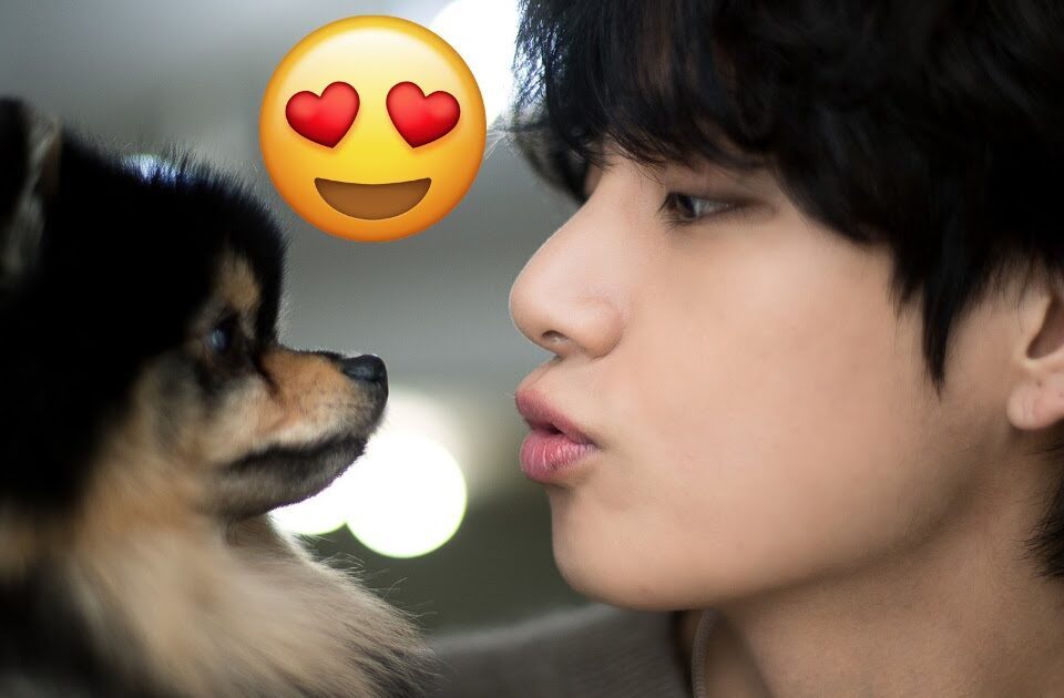 5 Times BTS Perfectly Performed The Same Poses With Their Pets